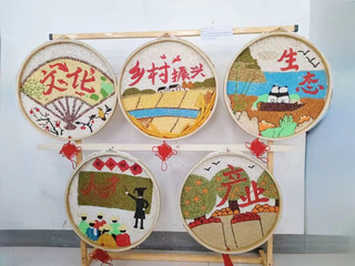 诸侯快讯ok1122登录入口第七届生物标本大赛